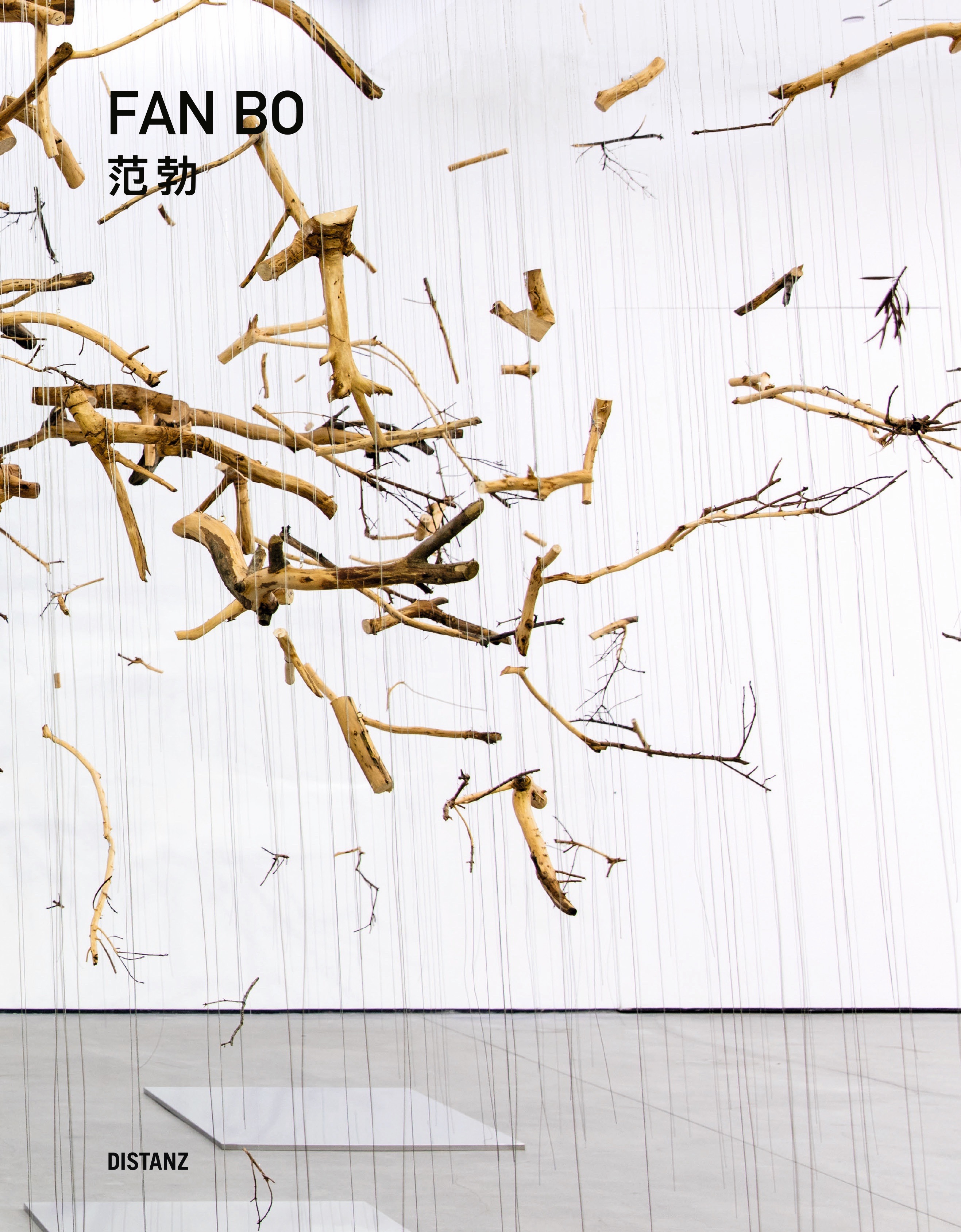 Bookcover Emerging from Shadow