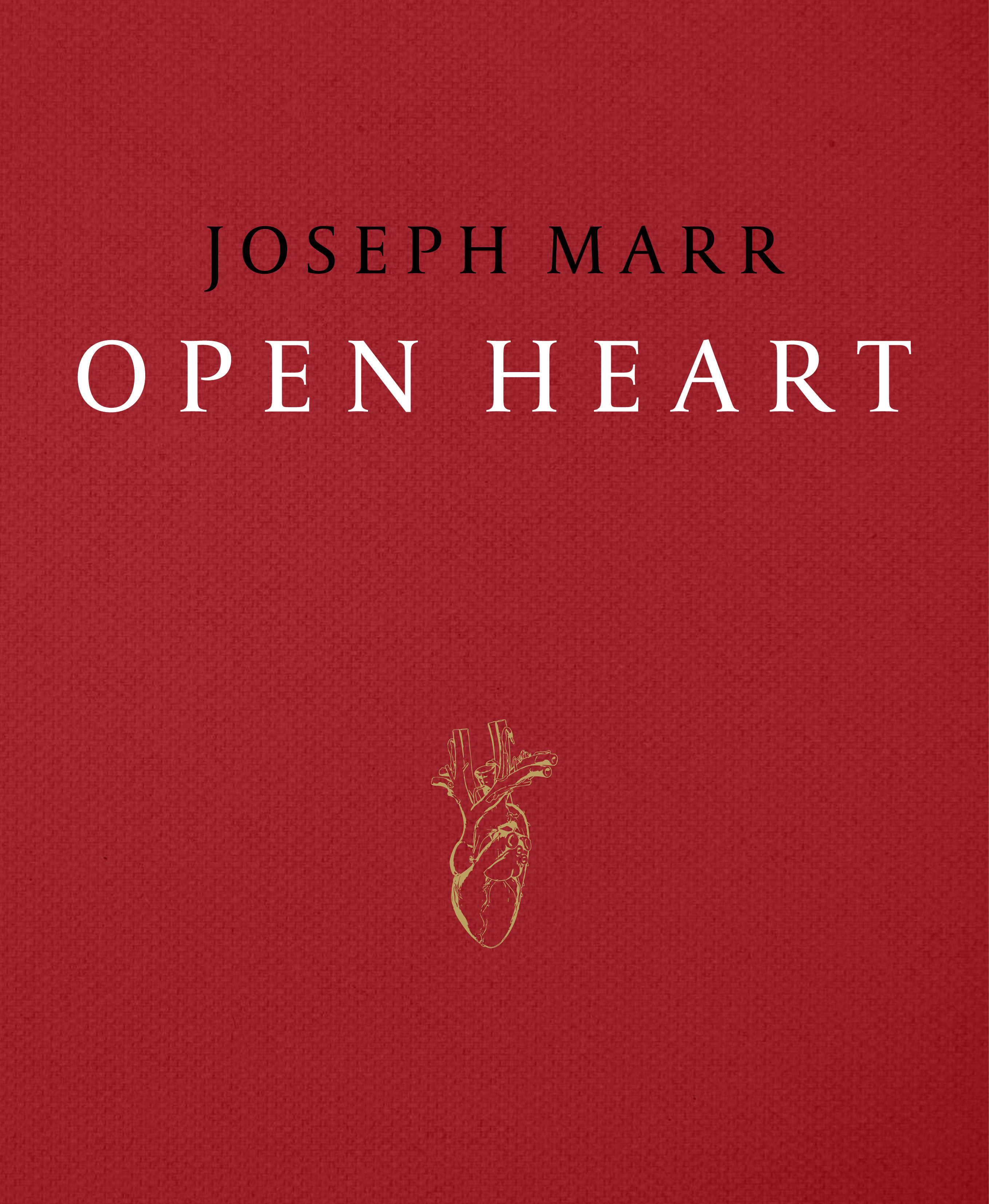 Buchcover Open Heart