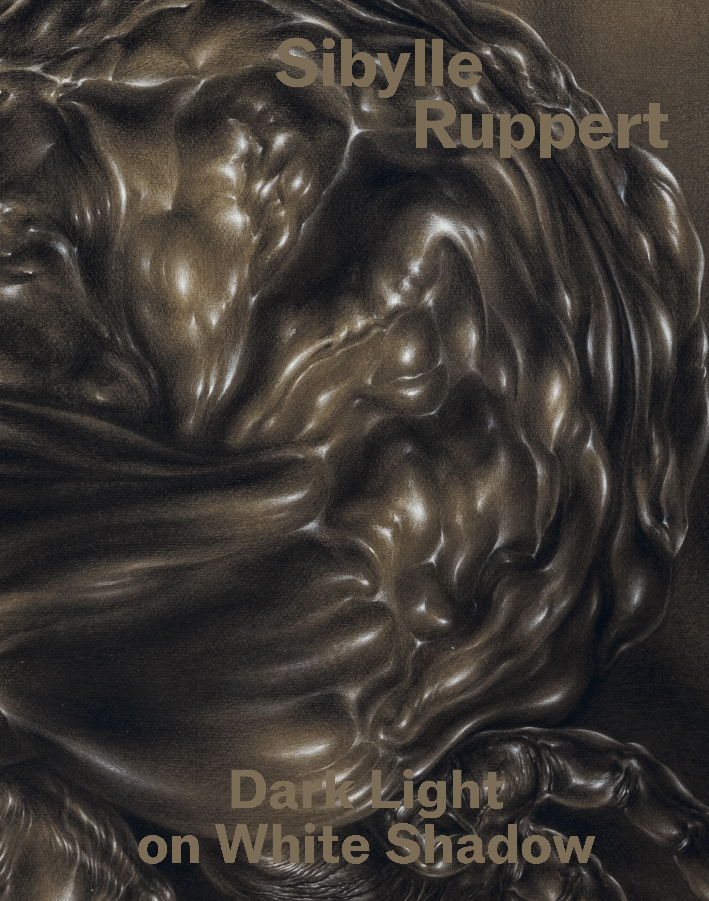 Buchcover Dark Light on White Shadow