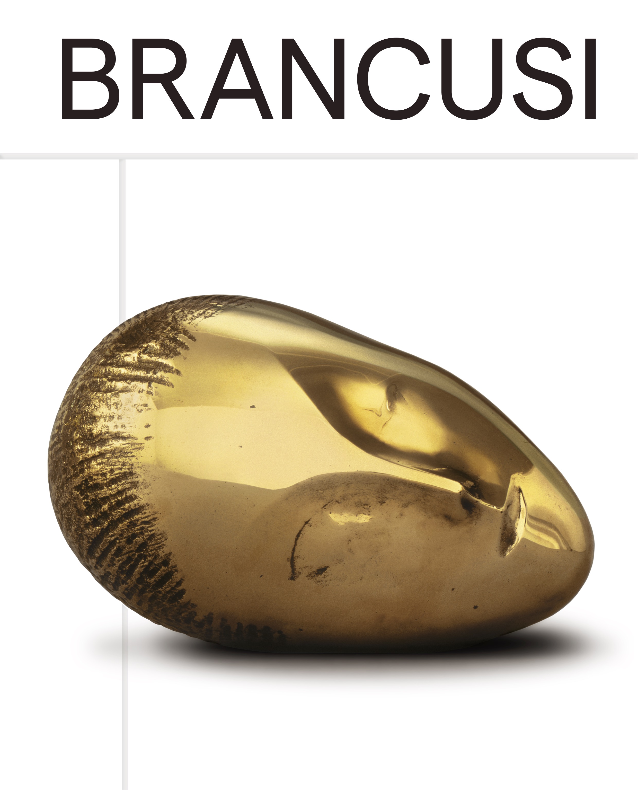 Bookcover Brancusi