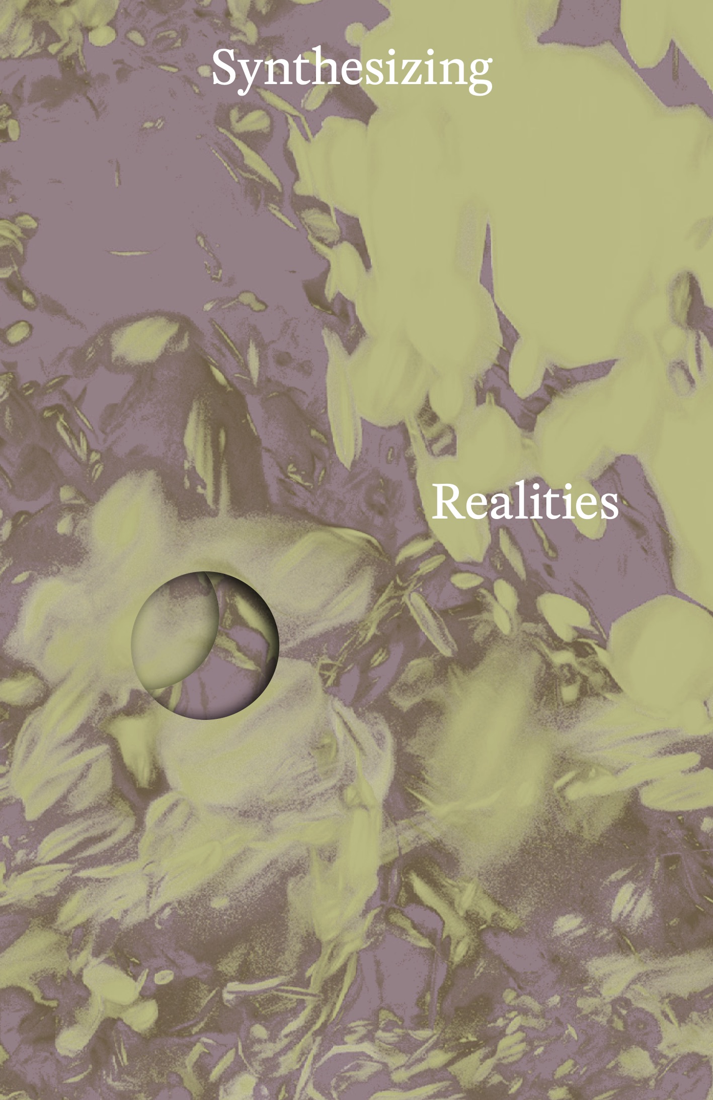 Bookcover Synthesizing Realities