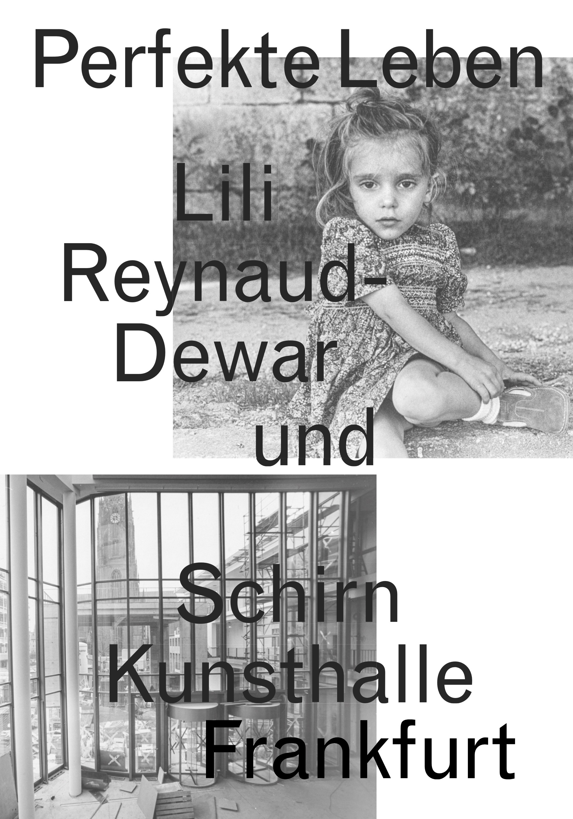 Bookcover Perfekte Leben